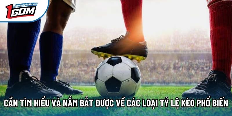 Cần tìm hiểu và nắm bắt được về các loại tỷ lệ kèo phổ biến