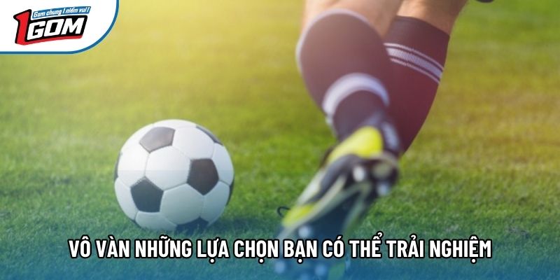 Vô vàn những lựa chọn bạn có thể trải nghiệm