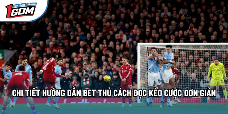 Chi tiết hướng dẫn bet thủ cách đọc kèo cược đơn giản