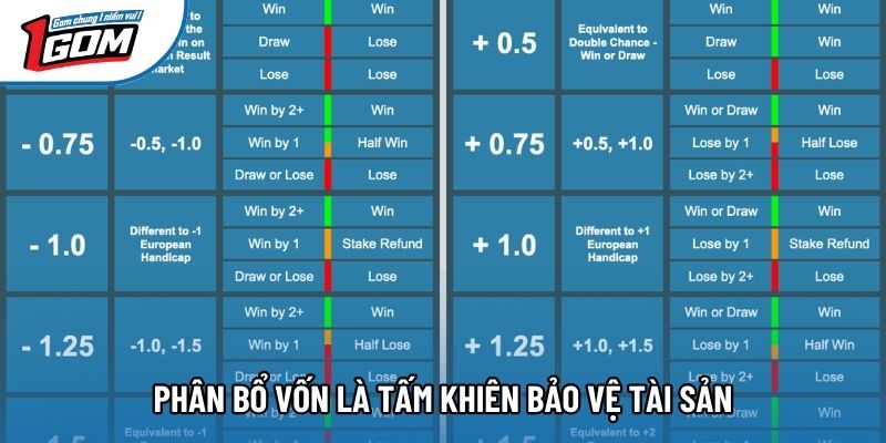 Phân bổ vốn là tấm khiên bảo vệ tài sản Phân bổ vốn là tấm khiên bảo vệ tài sản