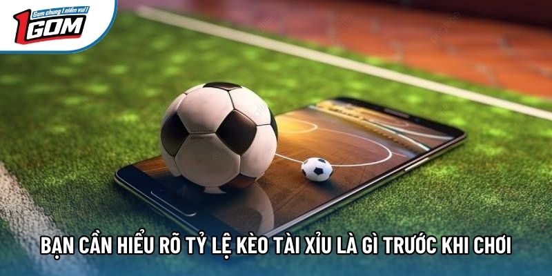 Bạn cần hiểu rõ tỷ lệ kèo tài xỉu là gì trước khi chơi Bạn cần hiểu rõ tỷ lệ kèo tài xỉu là gì trước khi chơi